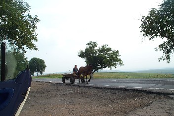 Wildrich Weltreise je weiter im Osten ich bin, ja mehr Pferdefuhrwerke sehe ich auf den Straßen. Speziell in Rumänien waren sie sehr zahlreich
