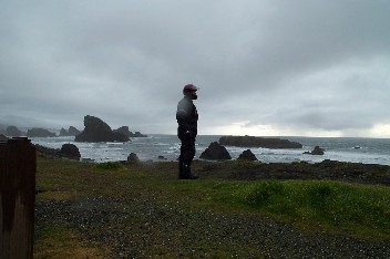 Wildrich Weltreise die Kste von Oregon erlebe ich leider nur im Regen