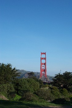 Wildrich Weltreise Golden Gate San Francisco